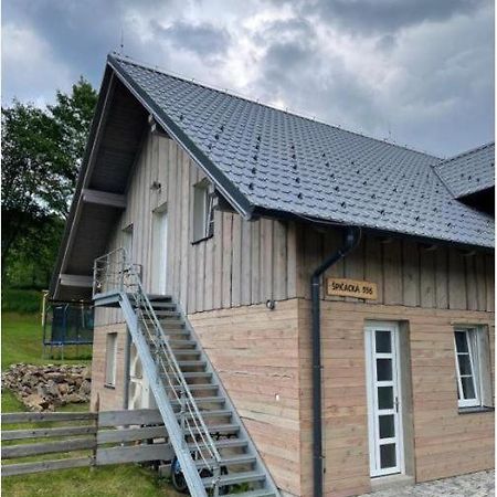 Ubytovani Spicacka Ap2 Železná Ruda Buitenkant foto